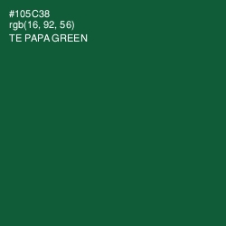 #105C38 - Te Papa Green Color Image